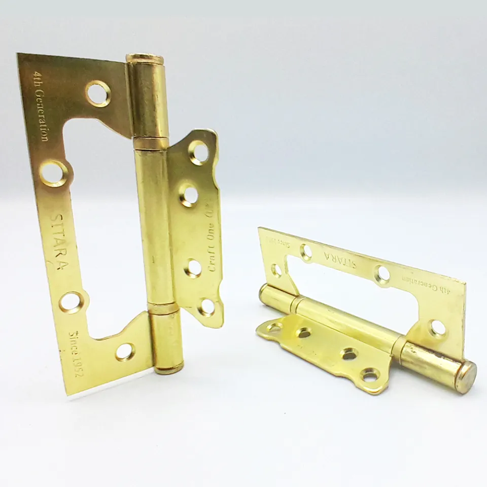 5" SS Door Hinges