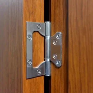 Non-Mortise SS Hinges