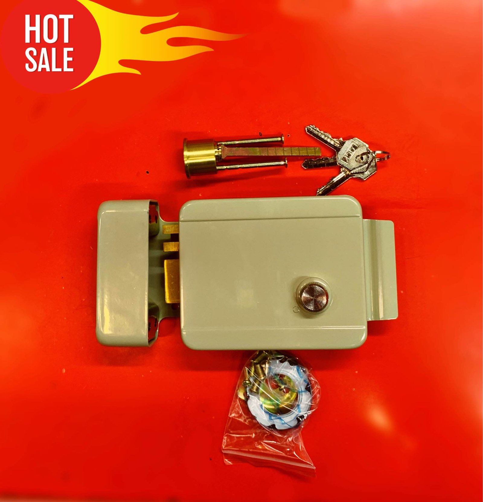Electric Gate Lock